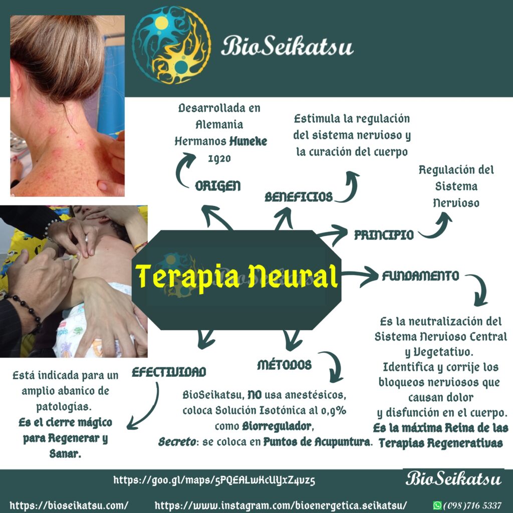 Terapia Neural, Sanación Integral: Tu Viaje hacia la Salud Holística